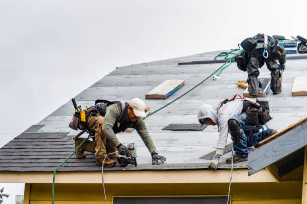 Professional Storm Damage Roof Repair technician working in Sloan, IA